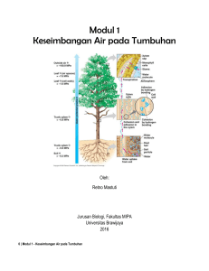 Modul 1 Keseimbangan Air pada Tumbuhan Oleh: Retno Mastuti