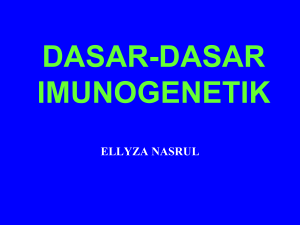 dasar-dasar imunogenetik