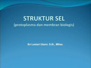 membran biologis struktur dan fungsi membran sel