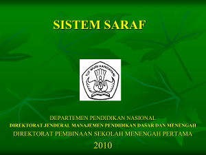 SISTEM SARAF PADA MANUSIA