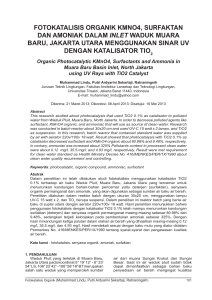 fotokatalisis organik kmno4, surfaktan dan amoniak dalam