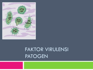 Escherichia coli Salmonella typhimurium