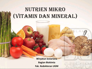 17-wl-vitamin dan mineral