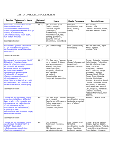 daftar optk kelompok bakteri
