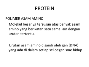 Protein:
