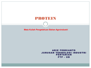 PBAi 3 Protein