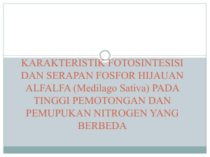 KARAKTERISTIK FOTOSINTESISI DAN