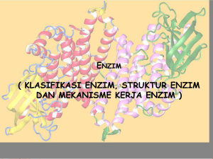 Enzyme ( KLASIFIKASI ENZYME, STRUKTUR ENZYME DAN