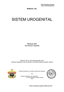 sistem urogenital - E