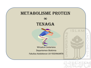 Metabolisme Protein ∞ Tenaga