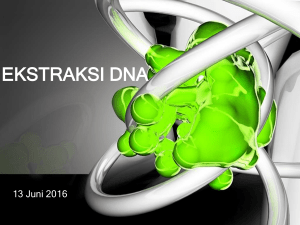 Lect_08 Ekstraksi DNA 2016