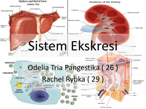 Gangguan pada Sistem Ekskresi