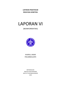 LAPORAN VI
