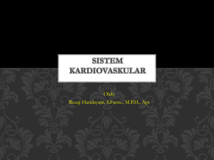 Sistem Kardiovaskular