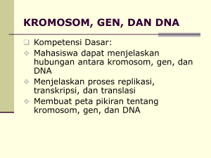 Kromosom, Gen, dan DNA