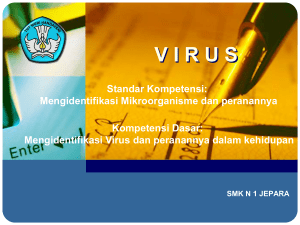 Virus dan peranannya2009-11
