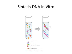 Sintesis DNA