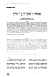 EFFECTIVITY OF XANTHONE OF MANGOSTEEN (Garcinia