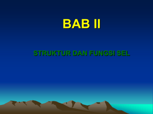 bab_ii-sel