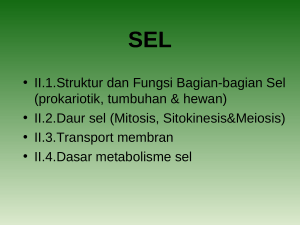 • II.1.Struktur dan Fungsi Bagian-bagian Sel (prokariotik, tumbuhan