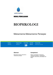 Sistem Auditori - Universitas Mercu Buana