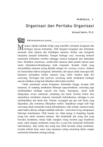 Organisasi dan Perilaku Organisasi