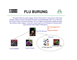 flu burung - Bali Hotels Association