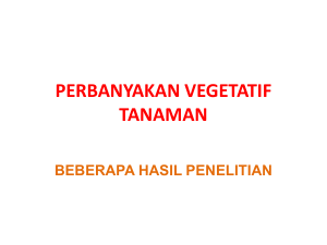 PERBANYAKAN VEGETATIF TANAMAN