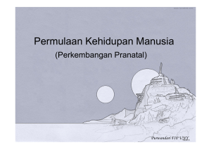 Permulaan Kehidupan Manusia