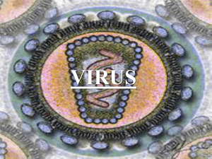 Virus - DocShare.tips