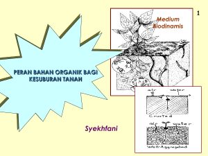 Syekhfani PERAN BAHAN ORGANIK BAGI KESUBURAN TANAH 1