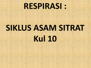 SIKLUS ASAM SITRAT