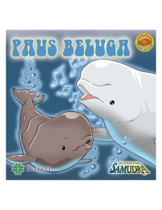 Paus Beluga
