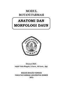 anatomi dan morfologi daun - Digital Repository Universitas Jember