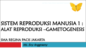 sistem reproduksi manusia 1