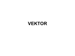 vektor - Bina Darma e