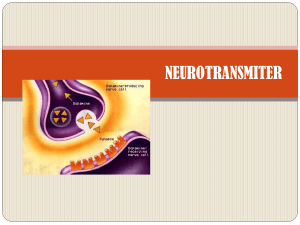 NEUROTRANSMITER