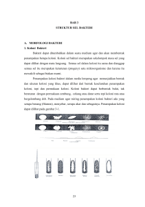 BAB 3 sruktur sel bakteri