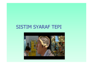Sist Syaraf Tepi [Compatibility Mode]