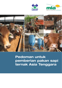 Pedoman untuk pemberian pakan sapi ternak Asia