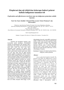 Eksplorasi dan uji efektivitas beberapa bakteri pelarut kalium