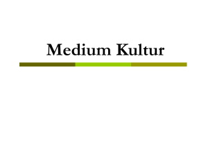 CHAPTER 4 Medium Kultur