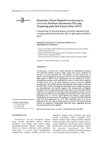 Konstruksi Strain Haploid Saccharomyces cerevisiae Pembawa