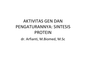 sintesis protein