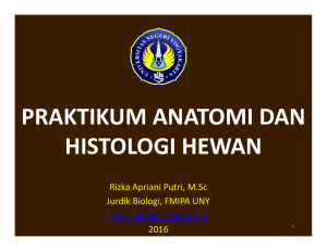 praktikum anatomi dan histologi hewan