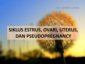 siklus estrus, ovari, uterus, dan pseudopregnancy