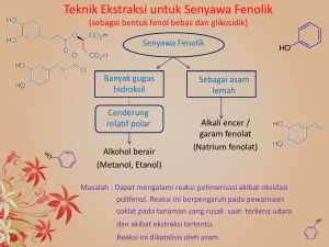 Ekstraksi untuk Senyawa Fenolik