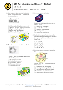 K13 Revisi Antiremed Kelas 11 Biologi