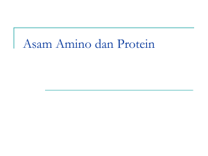 Asam Amino dan Protein