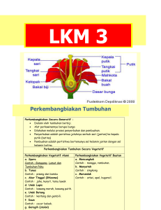 LKM 3 Blog dosen - UM Palangkaraya